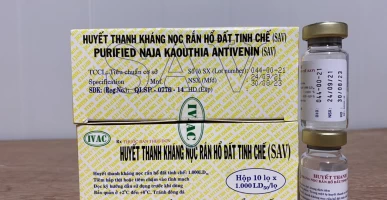 huyet-thanh-khang-noc-phuong-phap-dieu-tri-ran-ho-dat-can