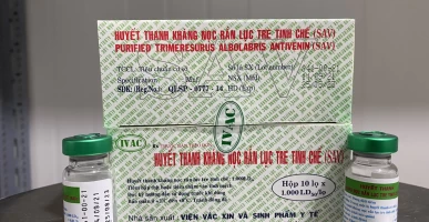 ran-luc-tre-giai-phap-dieu-tri-ran-can-bang-huyet-thanh-khang-noc