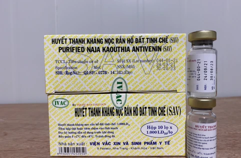 Huyết thanh kháng nọc rắn hổ đất tinh chế (SAV)