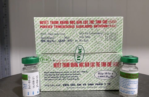 Huyết thanh kháng nọc rắn lục tre tinh chế (SAV)